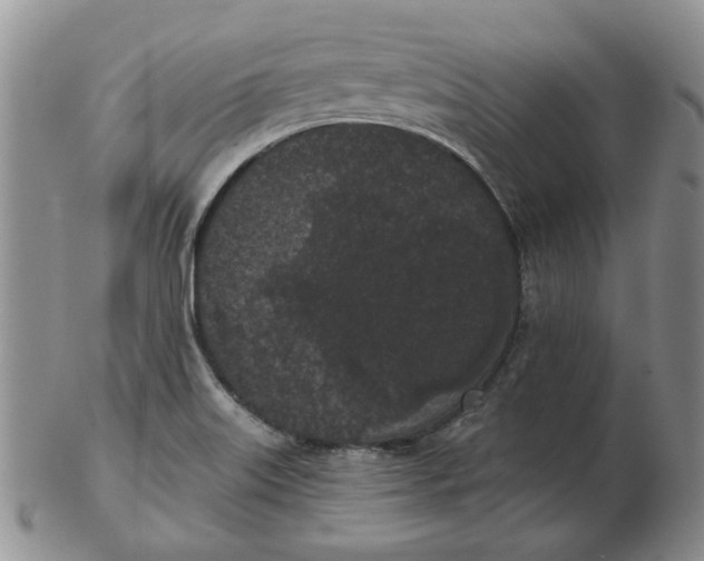 X0000103151515200809051625