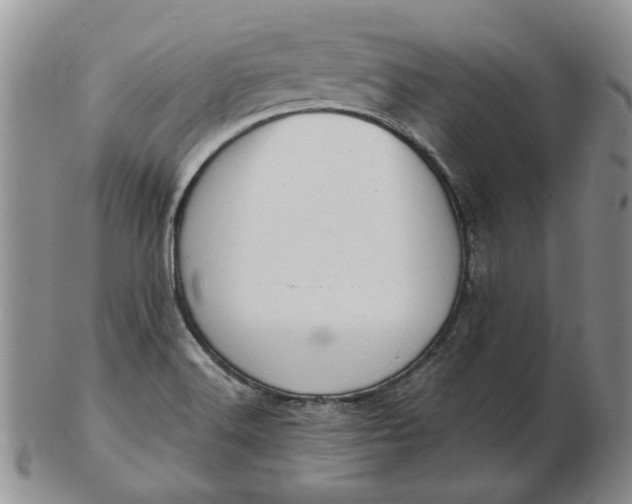 X0000103151516200809051625