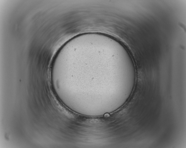 X0000103151517200809051626