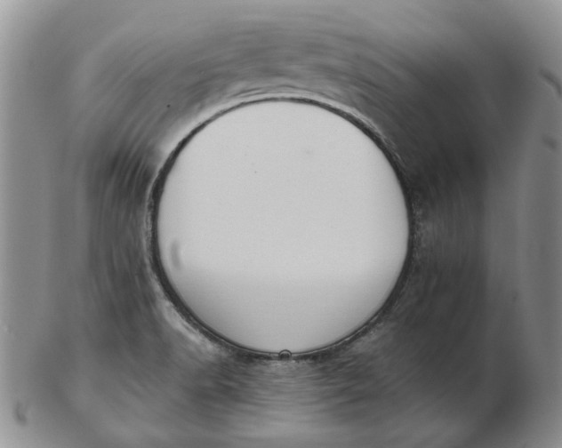 X0000103151518200809051626