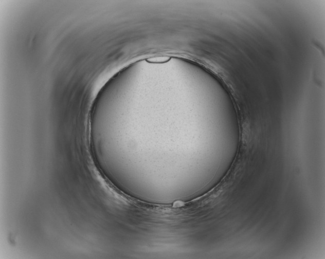 X0000103151520200809051626