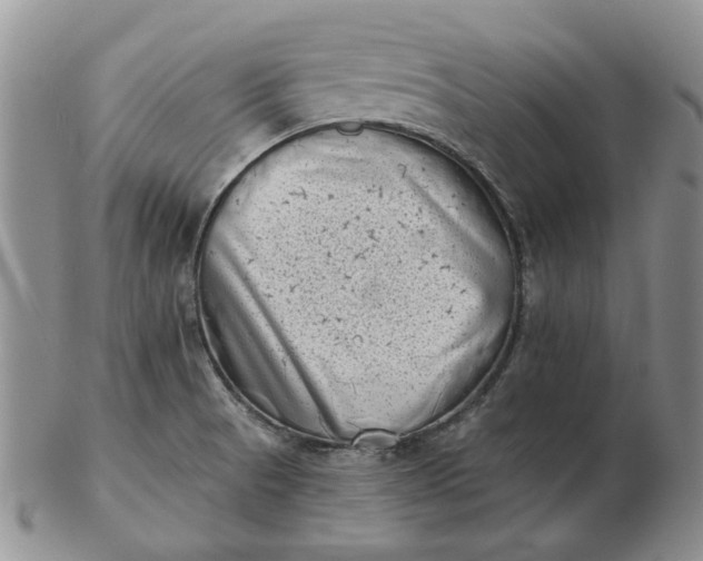 X0000103151521200809051626