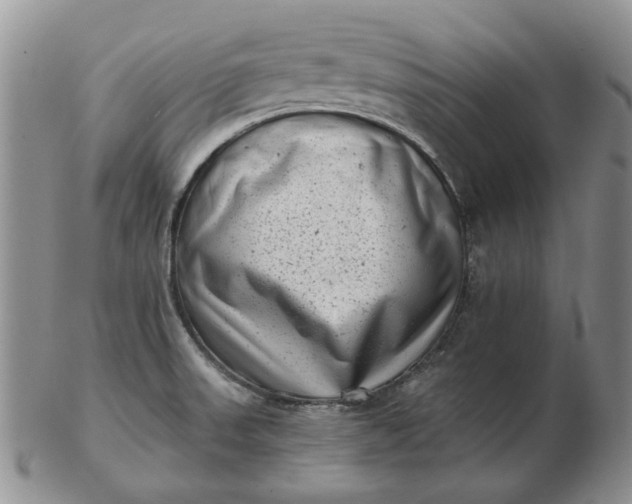 X0000103151523200809051626