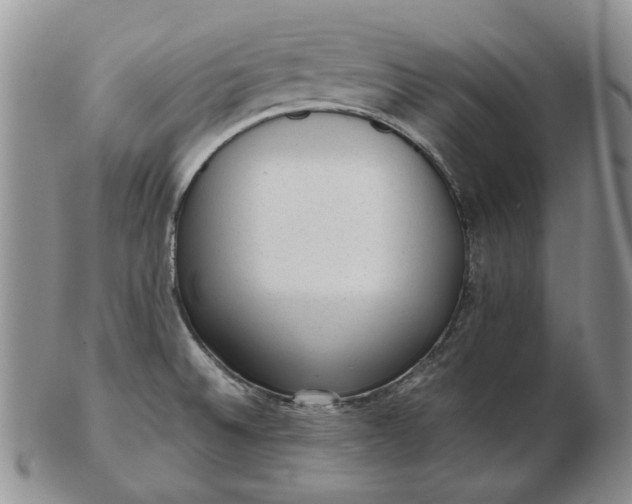 X0000103151524200809051626