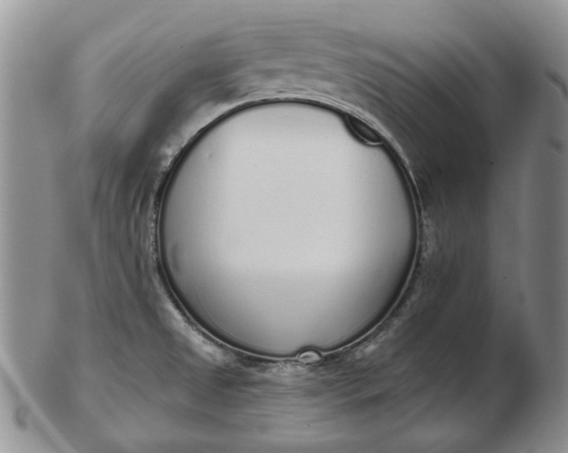 X0000103151525200809051626