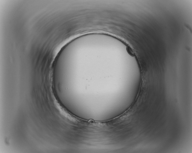 X0000103151526200809051626