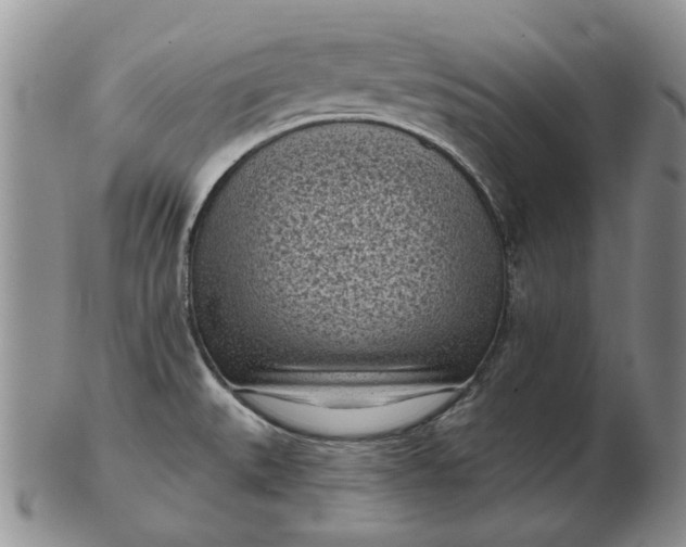 X0000103151527200809051626