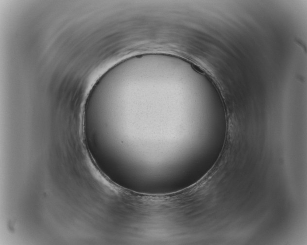 X0000103151528200809051626