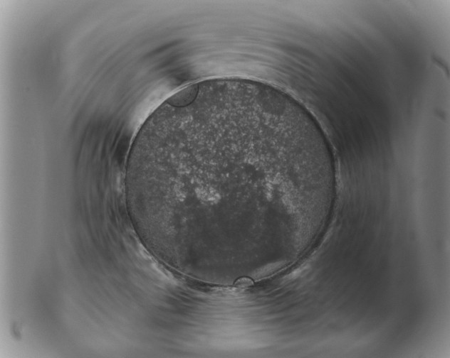 X0000103151529200809051626