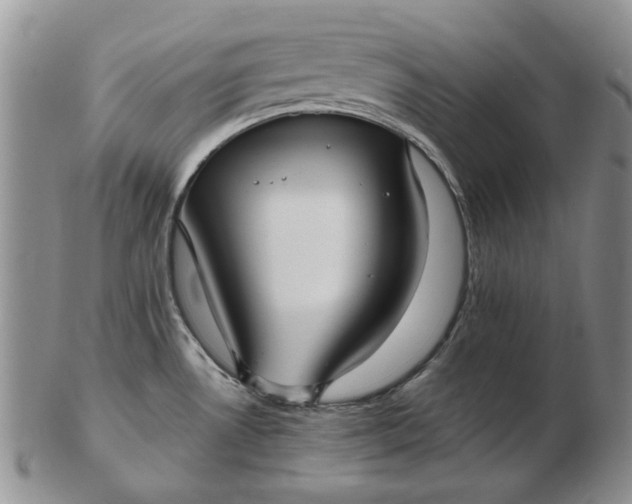 X0000103151530200809051626