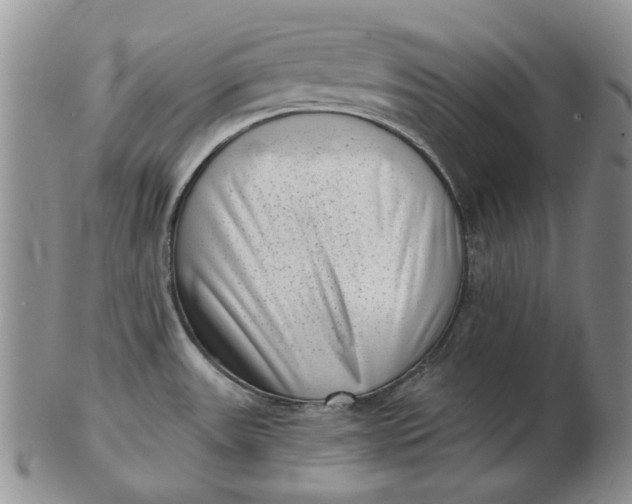 X0000103151531200809051626