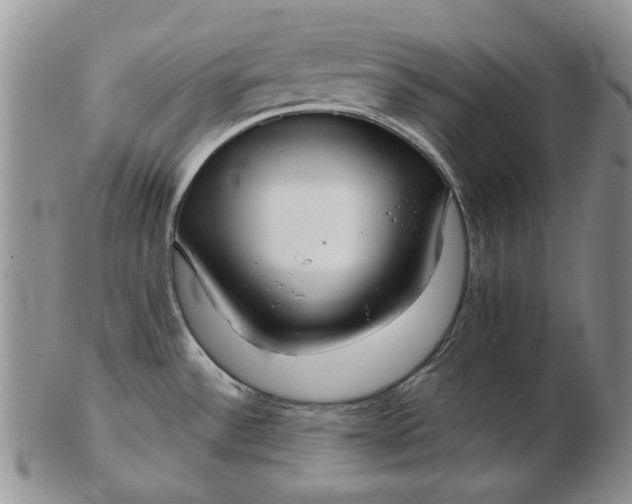 X0000103151532200809051626