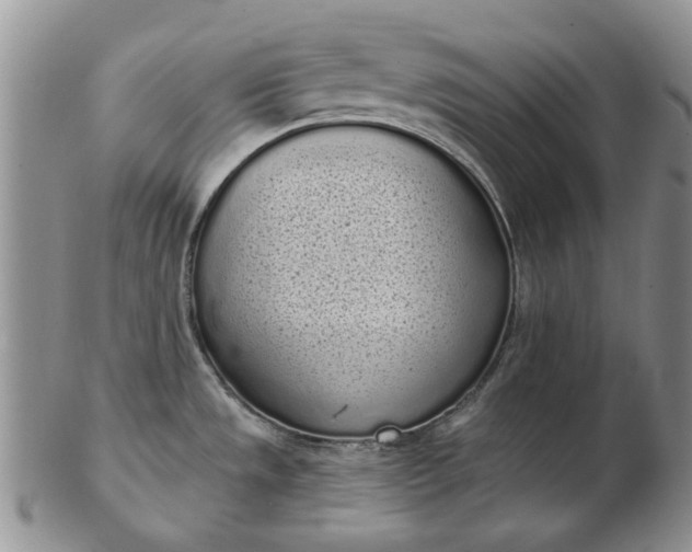 X0000103151533200809051626