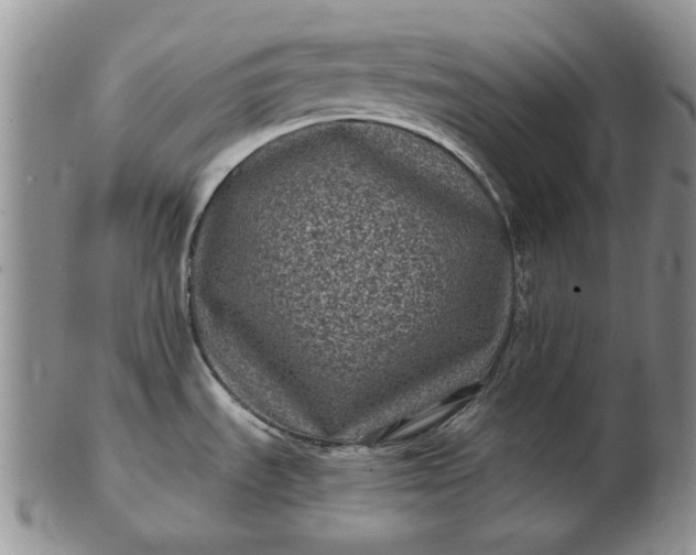 X0000103151535200809051626