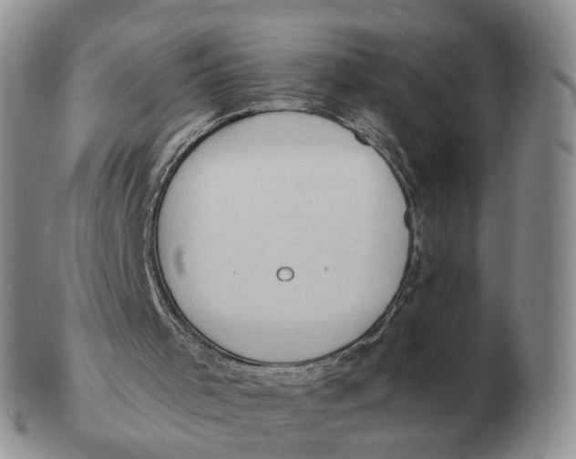 X0000103150001200809121826