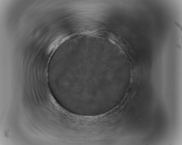 X0000103150002200809121826