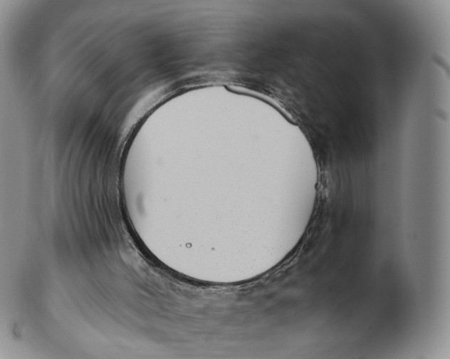 X0000103150004200809121826