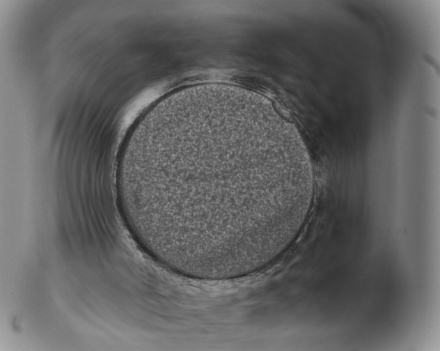 X0000103150006200809121826