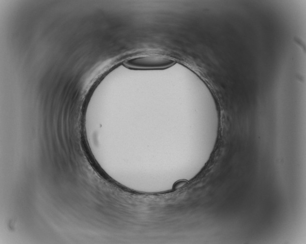 X0000103150007200809121826