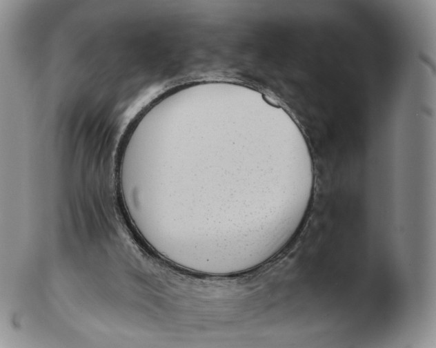 X0000103150008200809121826