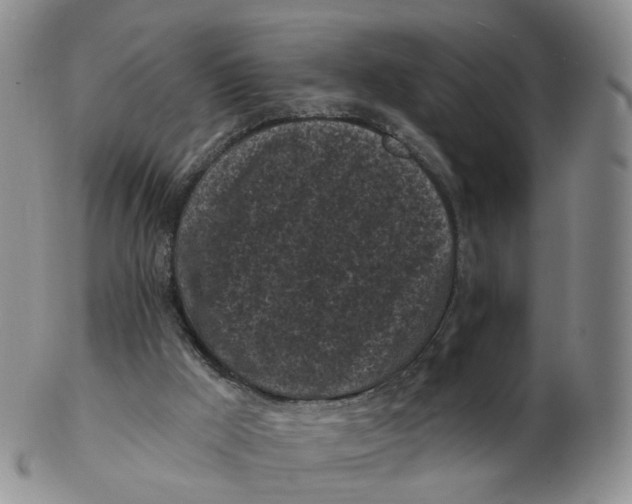 X0000103150009200809121826