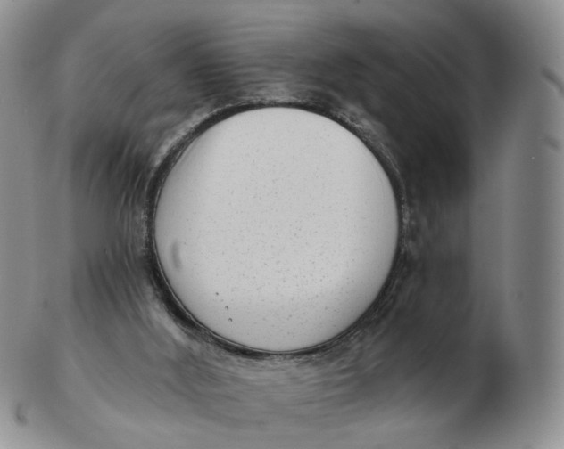 X0000103150012200809121826