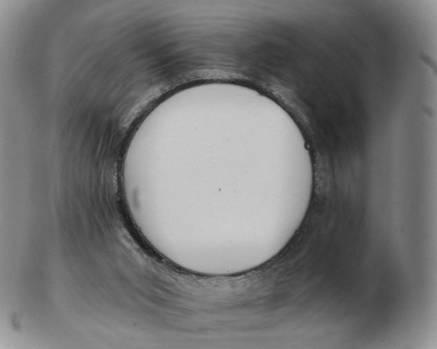 X0000103150015200809121826