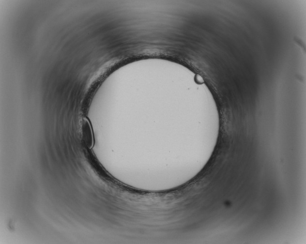 X0000103150016200809121826