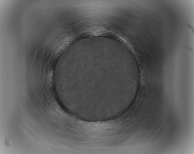 X0000103150018200809121826