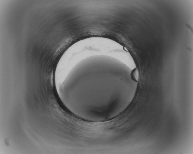 X0000103150019200809121826