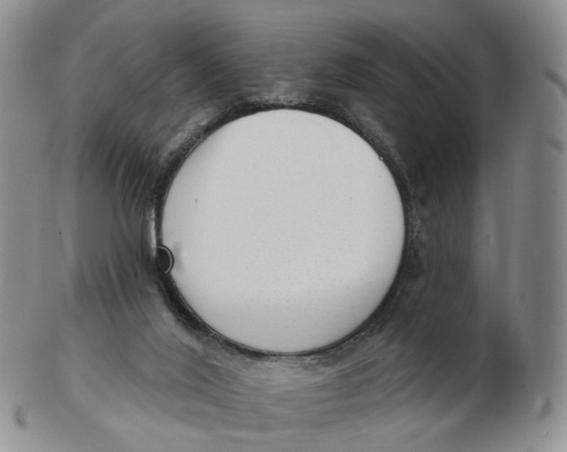 X0000103150020200809121826