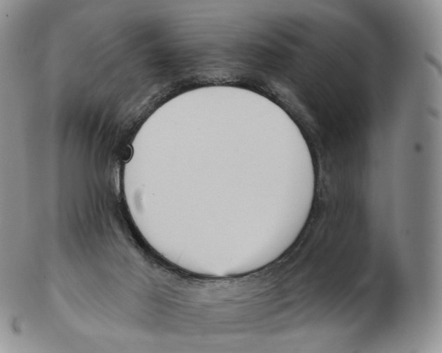 X0000103150021200809121826