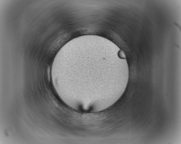 X0000103150022200809121826