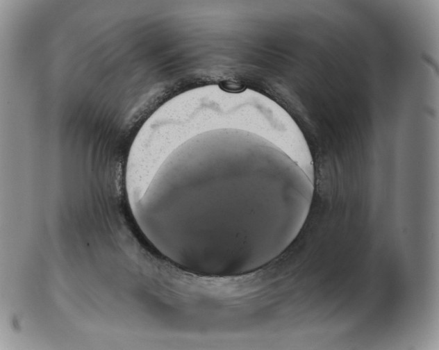 X0000103150023200809121826