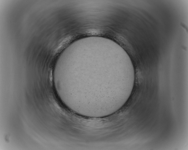 X0000103150024200809121826