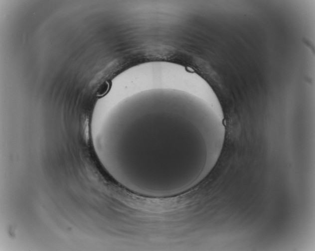 X0000103150027200809121826