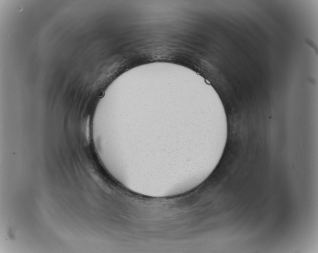 X0000103150028200809121826