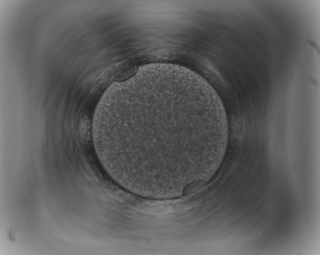 X0000103150029200809121826