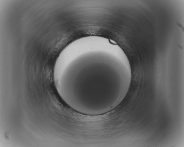 X0000103150031200809121826