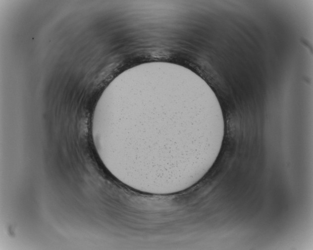 X0000103150032200809121826