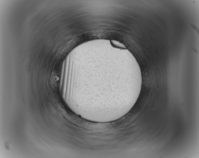 X0000103150036200809121826