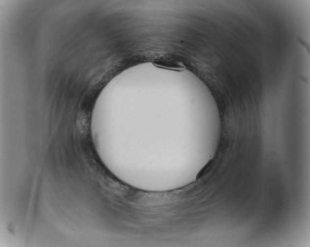 X0000103150037200809121826