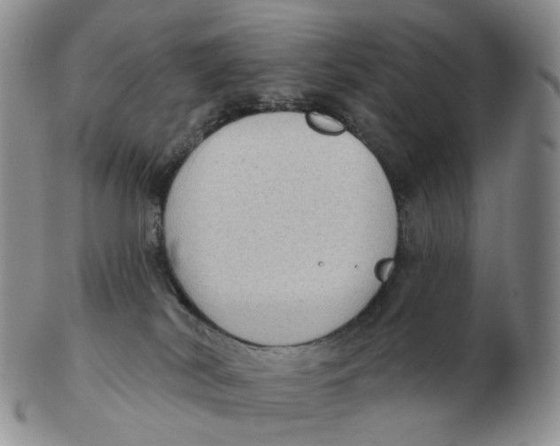 X0000103150038200809121826