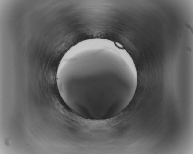 X0000103150039200809121826