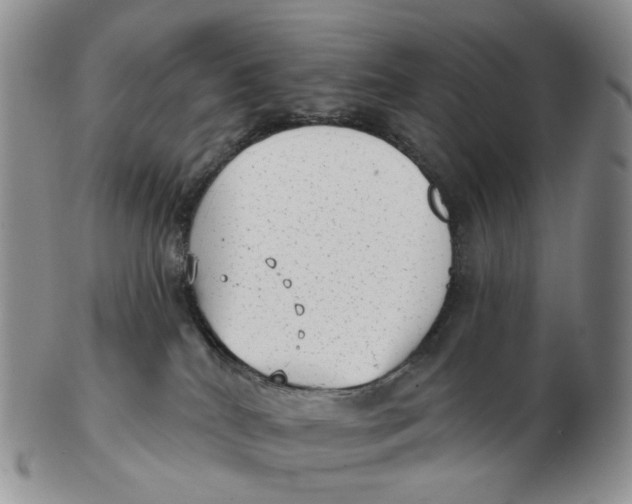 X0000103150040200809121826