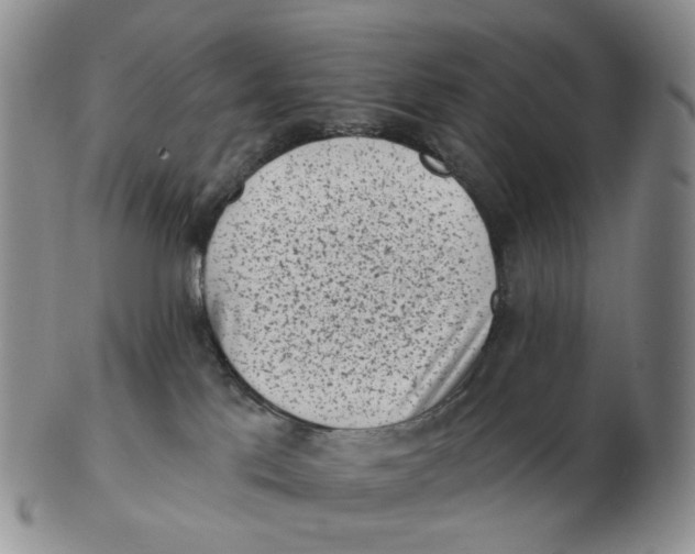 X0000103150041200809121826