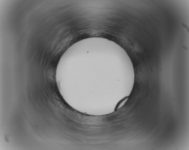 X0000103150044200809121826