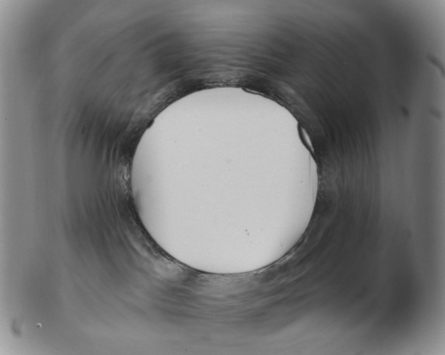 X0000103150045200809121826