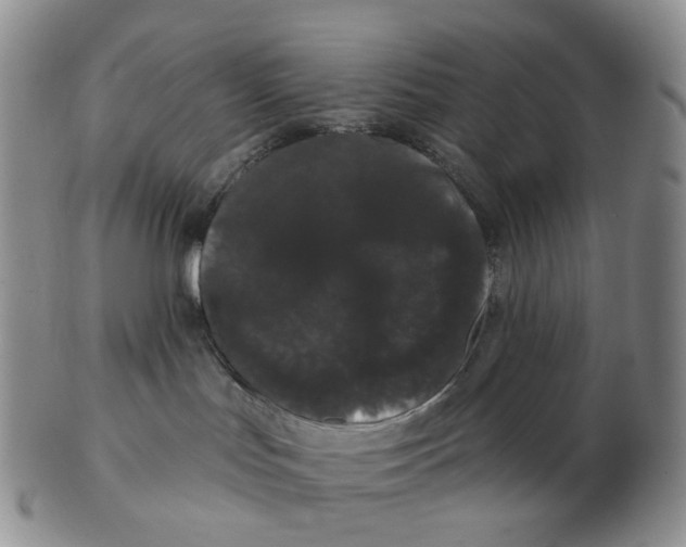 X0000103150047200809121826