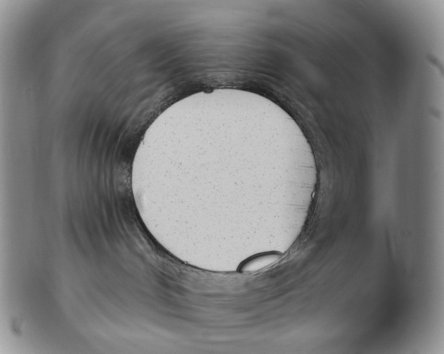 X0000103150048200809121826